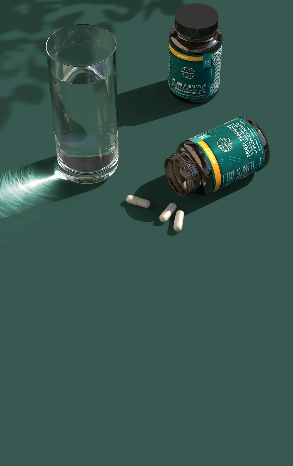 Holistic Supplements for Every Body